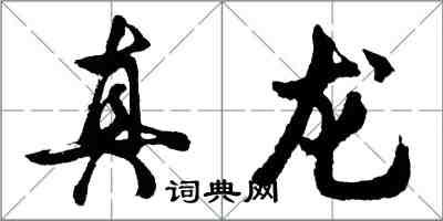 胡问遂真龙行书怎么写