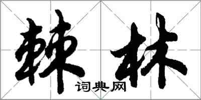 胡问遂棘林行书怎么写