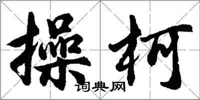 胡问遂操柯行书怎么写