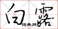 钱沛云白露行书怎么写