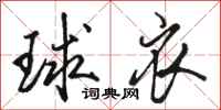骆恒光球衣行书怎么写