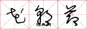王冬龄花朝节草书怎么写