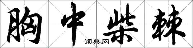胡问遂胸中柴棘行书怎么写