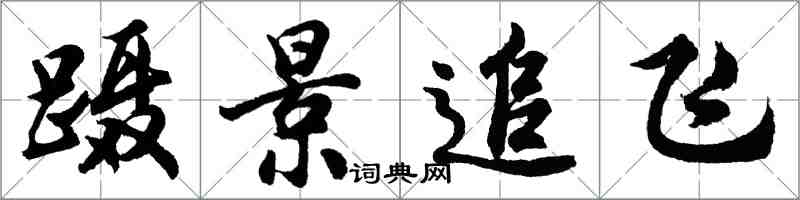 胡问遂蹑景追飞行书怎么写