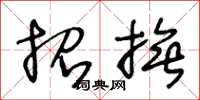 王冬龄招抚草书怎么写