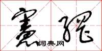 王冬龄宪网草书怎么写