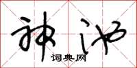 王冬龄神池草书怎么写