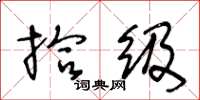 王冬龄拾级草书怎么写