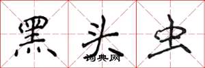 侯登峰黑头虫楷书怎么写