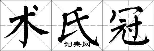 翁闿运术氏冠楷书怎么写