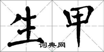翁闿运生甲楷书怎么写
