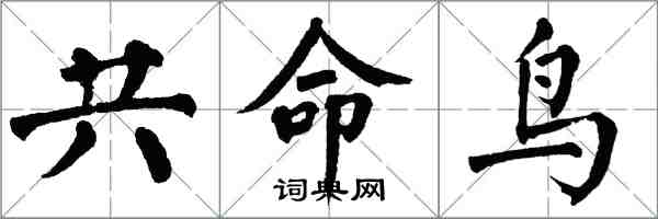 翁闿运共命鸟楷书怎么写