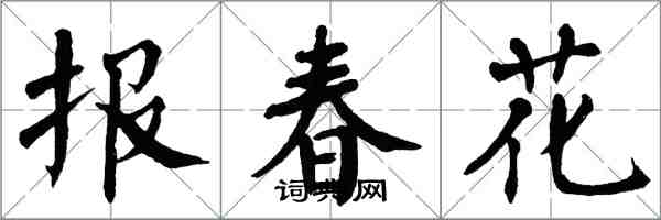 翁闿运报春花楷书怎么写