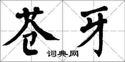 翁闿运苍牙楷书怎么写