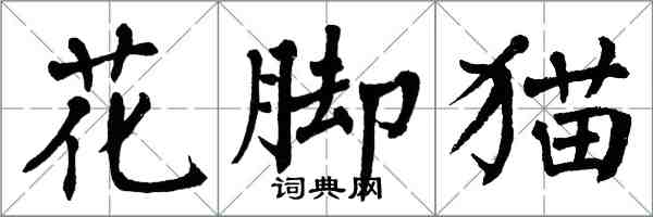 翁闿运花脚猫楷书怎么写