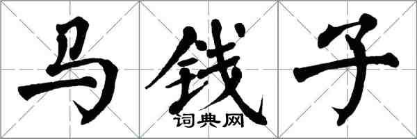 翁闿运马钱子楷书怎么写