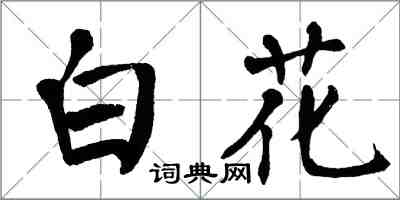 翁闿运白花楷书怎么写
