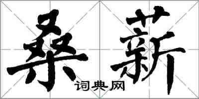 翁闿运桑薪楷书怎么写