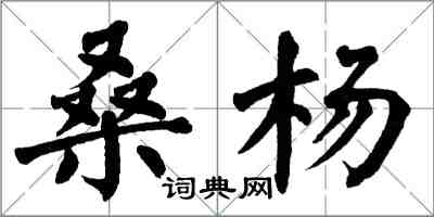 翁闿运桑杨楷书怎么写