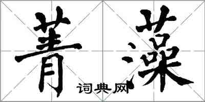 翁闿运菁藻楷书怎么写
