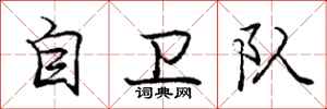 庞中华自卫队行书怎么写