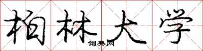 庞中华柏林大学行书怎么写