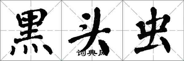 翁闿运黑头虫楷书怎么写