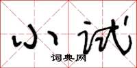 王冬龄小试草书怎么写