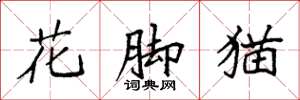 袁强花脚猫楷书怎么写
