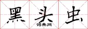 袁强黑头虫楷书怎么写