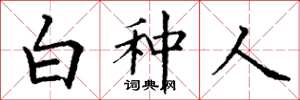 丁谦白种人楷书怎么写