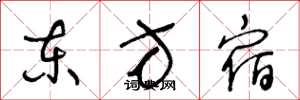 王冬龄东方宿草书怎么写