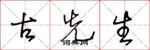 王冬龄古先生草书怎么写