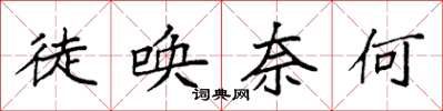 袁强徒唤奈何楷书怎么写