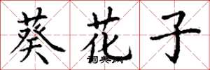 丁谦葵花子楷书怎么写