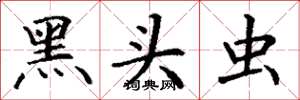 丁谦黑头虫楷书怎么写