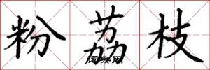 丁谦粉荔枝楷书怎么写