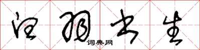 王冬龄白羽书生草书怎么写