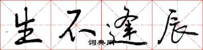 曾庆福生不逢辰行书怎么写