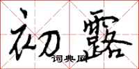 曾庆福初露行书怎么写