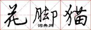 曾庆福花脚猫行书怎么写