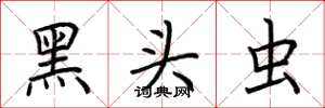 荆霄鹏黑头虫楷书怎么写
