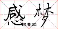 曾庆福感梦行书怎么写
