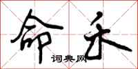 曾庆福命禾行书怎么写