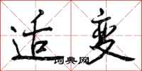 曾庆福适变行书怎么写