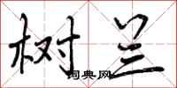 曾庆福树兰行书怎么写