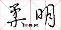 曾庆福柔明行书怎么写