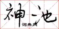 曾庆福神池行书怎么写