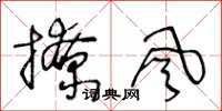 王冬龄撩风草书怎么写