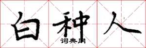 周炳元白种人楷书怎么写